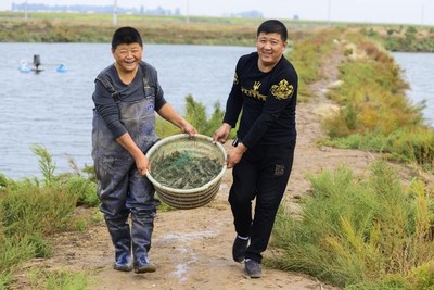 伊金霍洛水泥池养殖白对虾利润_福建裕海弘正水产养殖