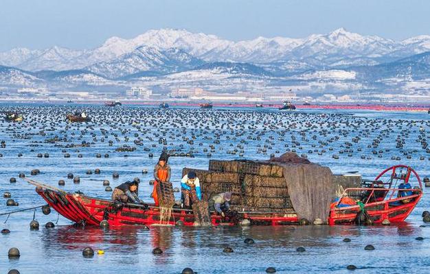 报告建议采取多项举措加快推动渔业发展|养殖|水产品_网易订阅