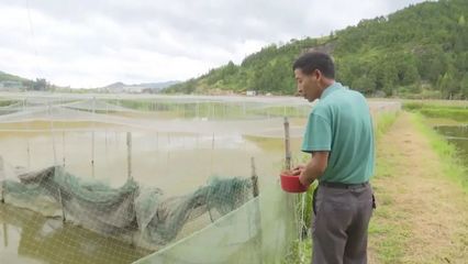 主播带货助力“高山”“高优”农产品销售