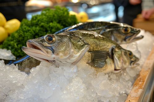 生鲜海鲜水产鳕鱼食材 摄影图