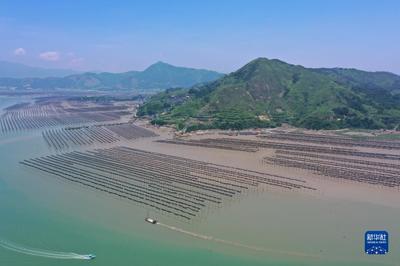 福建霞浦:用好海洋资源 激活发展新动力