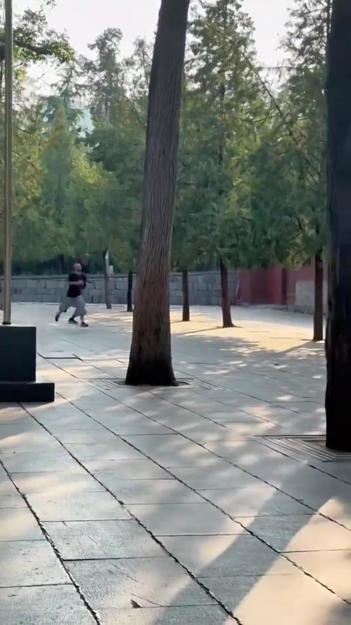 谈球吧修行倒计时👻“第一高僧”文班亚马又被拍到清晨在少林寺跑步